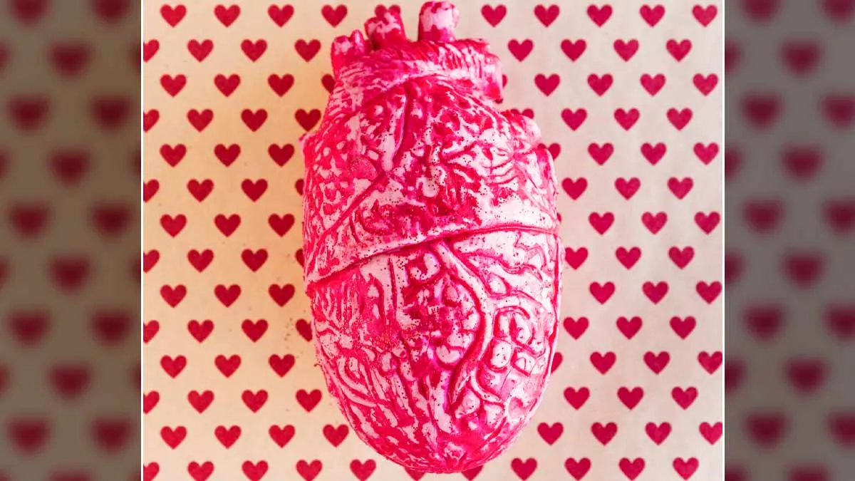 Abnormal Vs. Innocent Heart Murmurs: What Is The Difference?