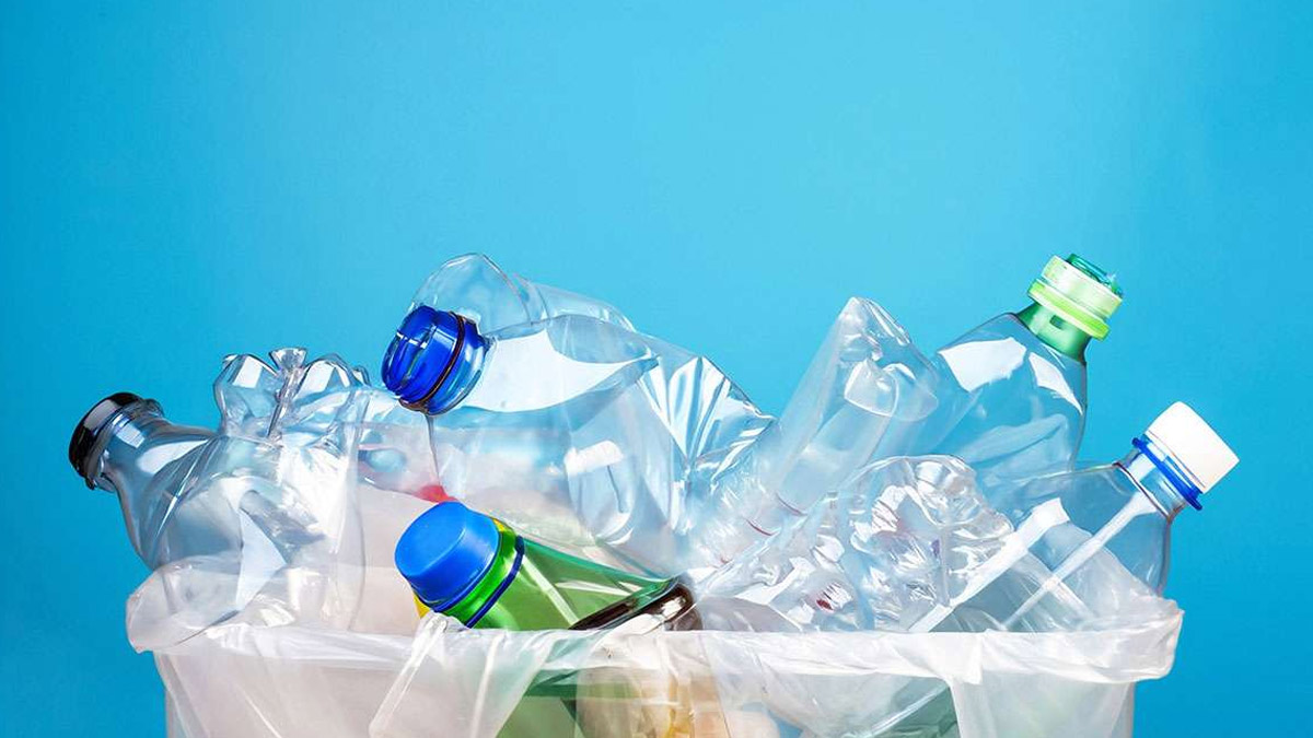 what if i eat plastic 1 - 2025-07-08T101607.021