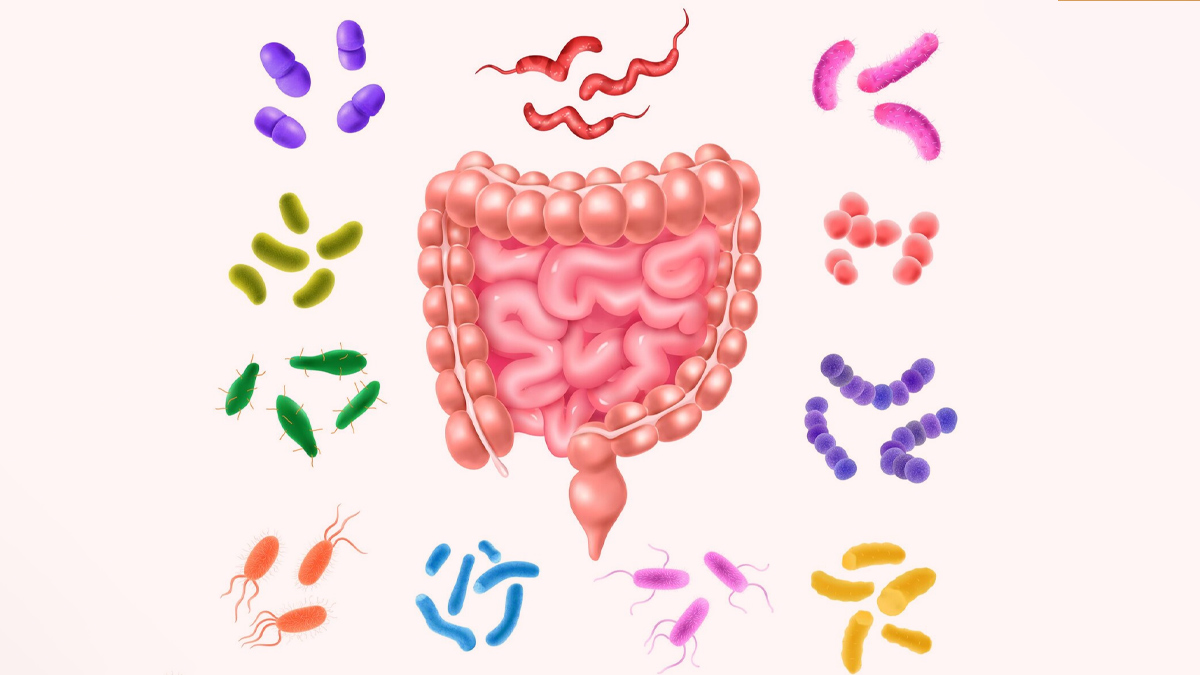 gut-microbiome