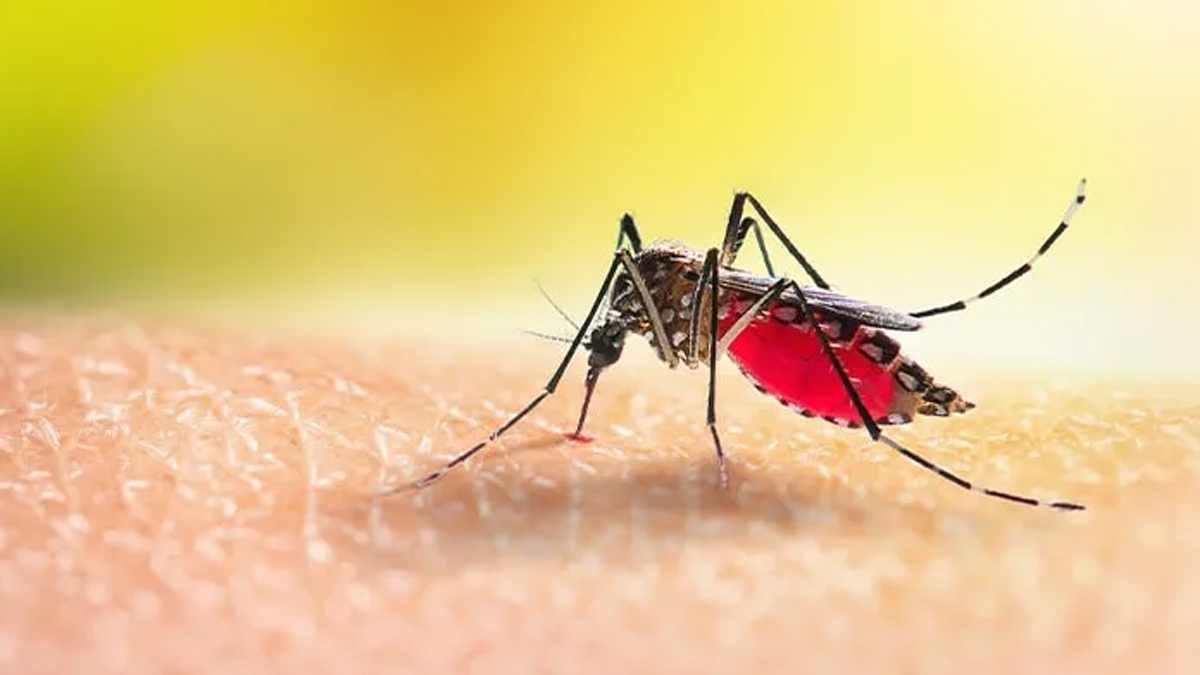 1 - 2025-07-09T150430.539