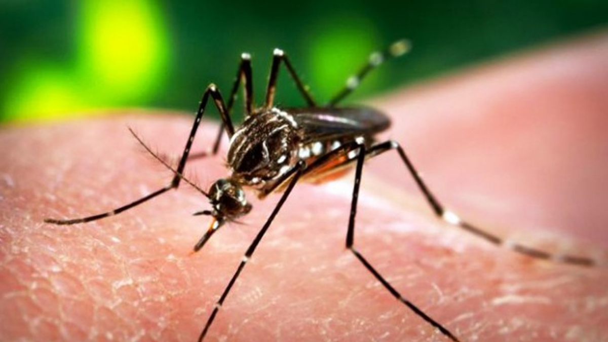 1 - 2025-07-10T164230.667