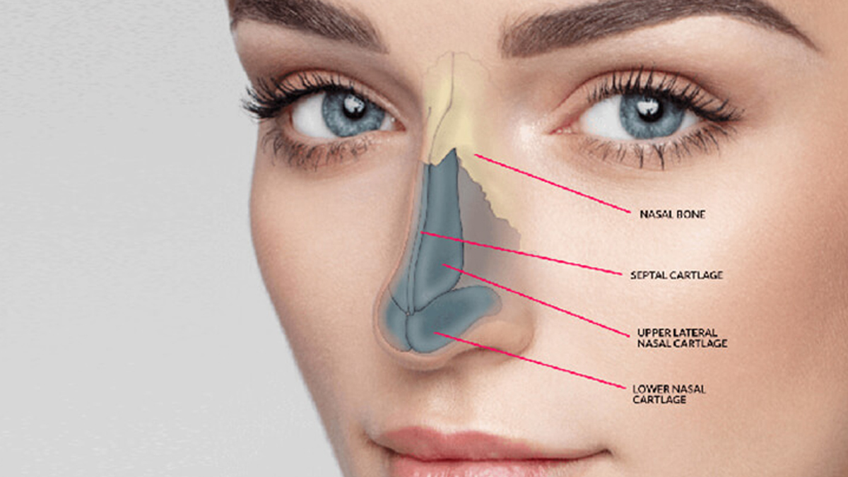 nose cosmetic surgery 2 - 2025-07-10T104956.485