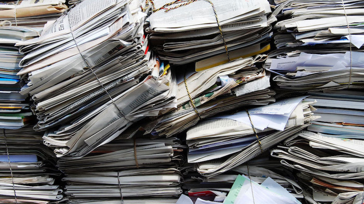 eating paper 3 - 2025-07-10T161224.413