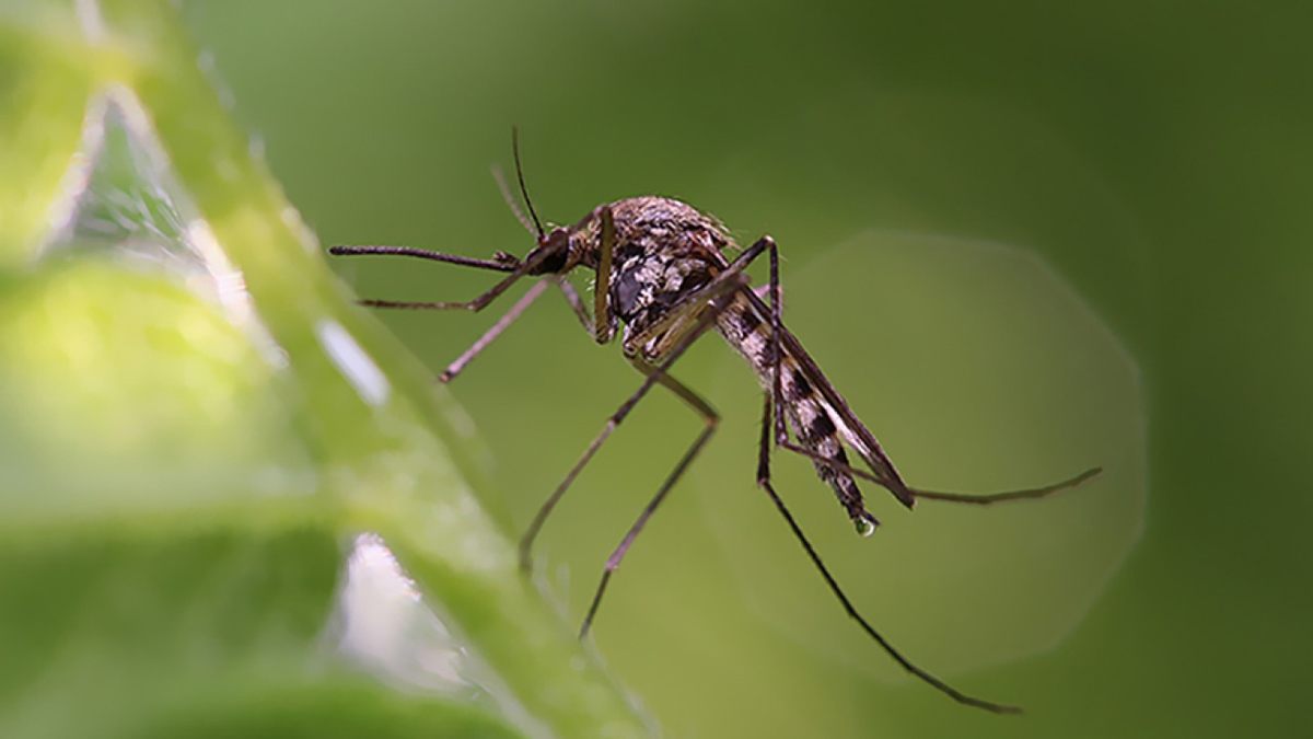 3 - 2025-07-10T164225.707