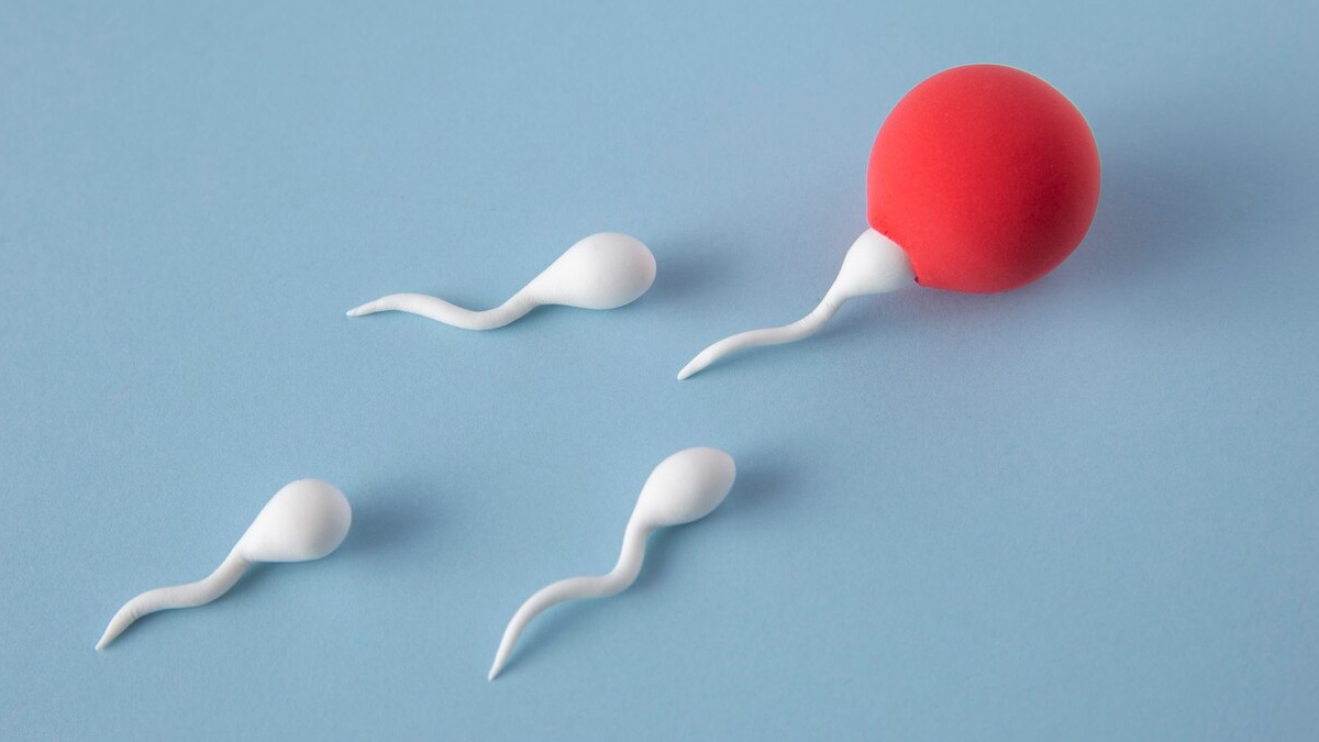 fertility