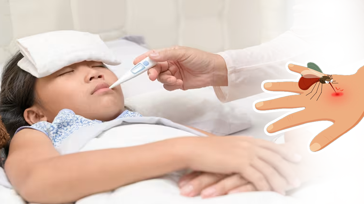 How Long Can Malaria Stay in Your Body: Can It Come Back Months or Years Later?