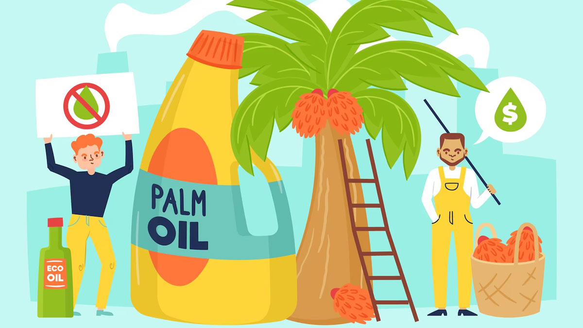 From Kitchen to Controversy: How Bad is Palm Oil For You? Here’s What Research and Experts Say