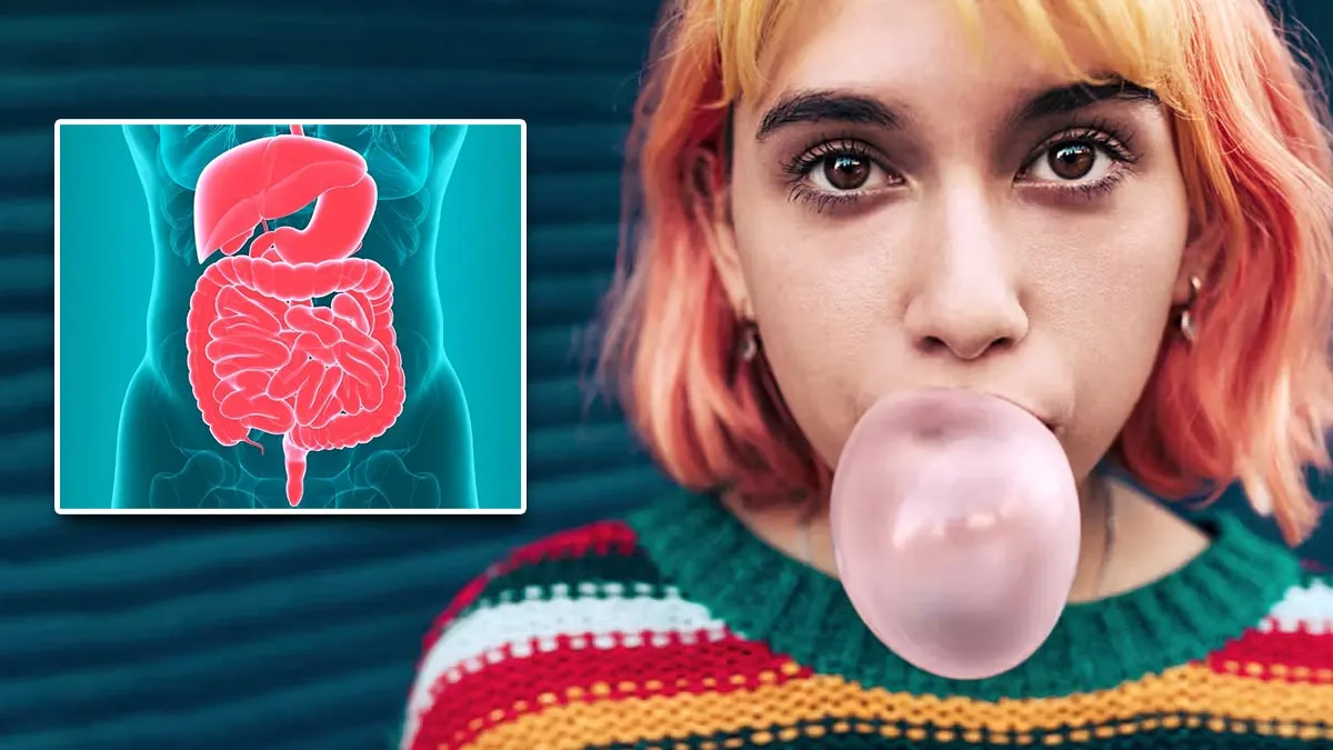 What to Do If You Accidentally Swallow Chewing Gum? Know From An Expert