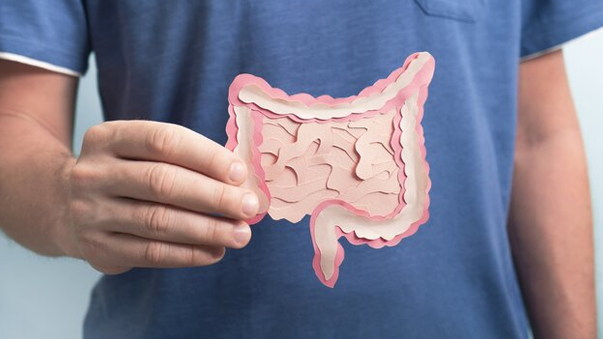 1 - 2025-07-15T120801.223