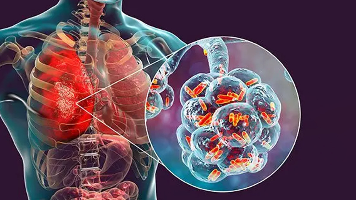 2 - 2025-07-16T120101.521