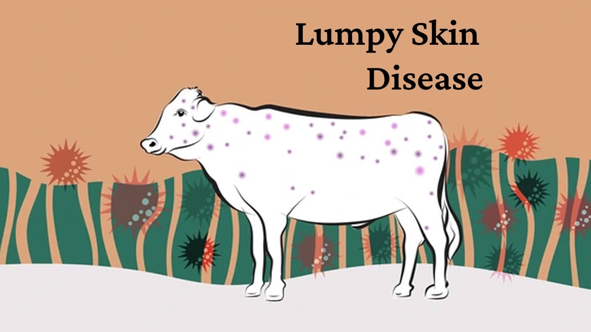 What Is Lumpy Skin Disease? Symptoms, Causes, And Treatment