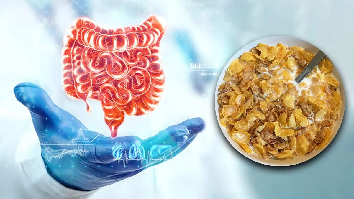 Are Cereals Good for Gut Health? Nutrition Expert Explains the Benefits