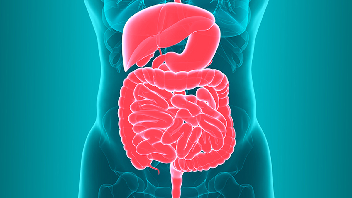 2 - 2025-07-18T143335.454