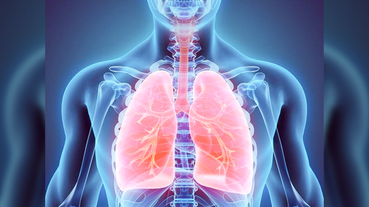 3 - 2025-07-18T105631.528