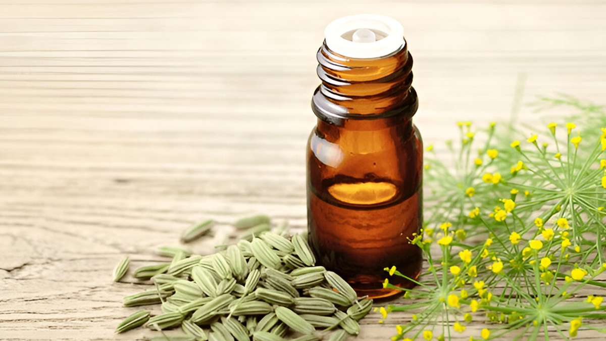 fennel-oil
