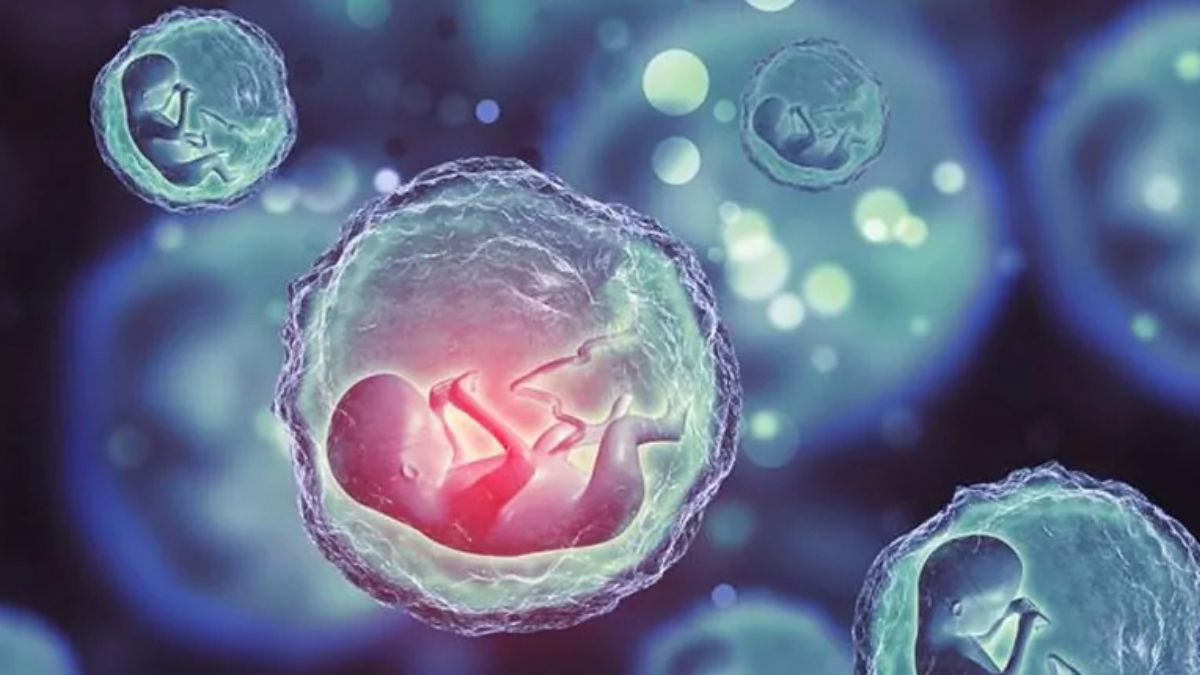 Can Embryo Pooling Increase Your Chances of Pregnancy? Know From an Expert