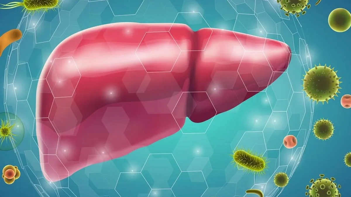 Hepatitis B vs C: Know Symptoms, Differences, and Prevention Explained by Expert