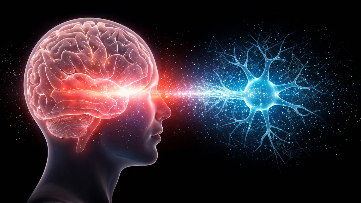 1 - 2025-07-29T140226.953