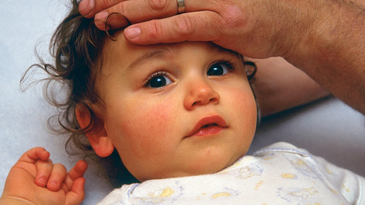 1 - 2025-07-29T162935.436