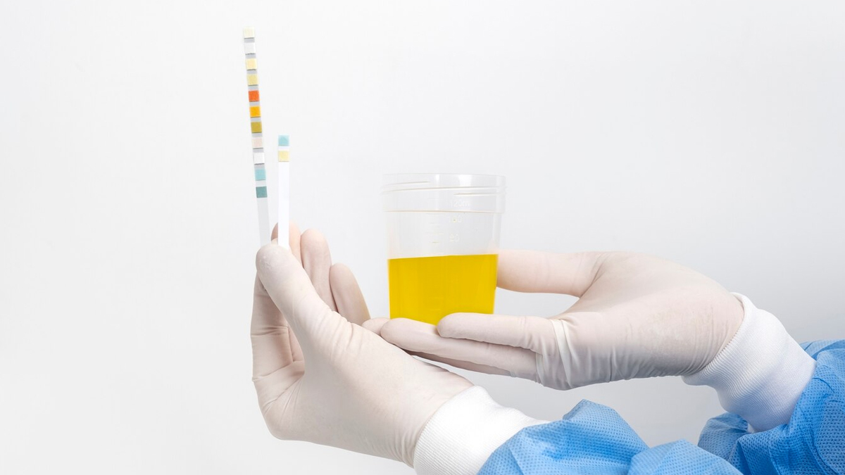 1 - 2025-07-29T184013.518