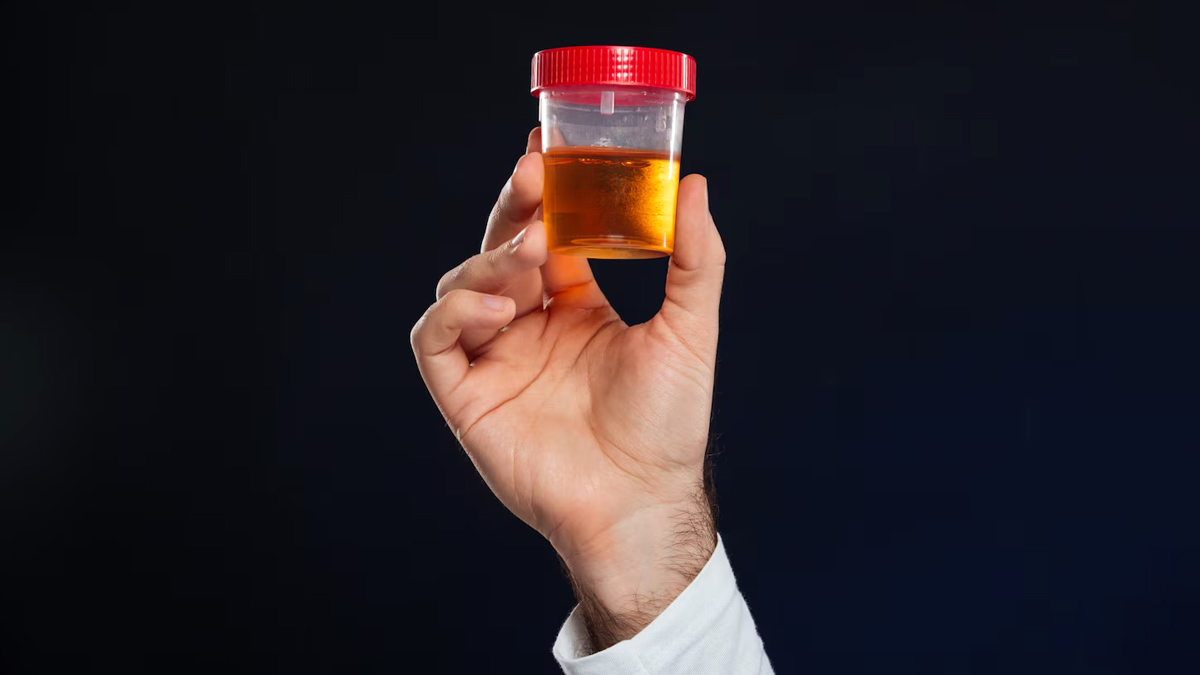 mn - 2025-07-29T184014.952