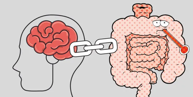 Can Stress Trigger Digestive Issues? Here’s What Expert Suggests