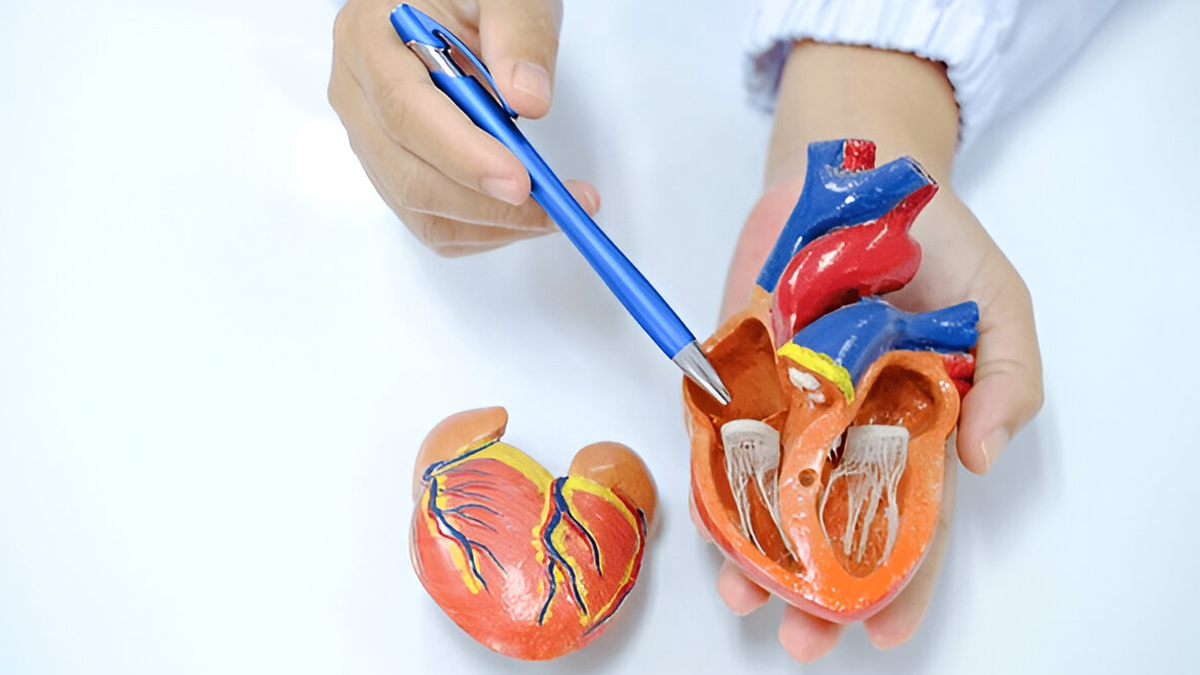 coronary-artery-disease