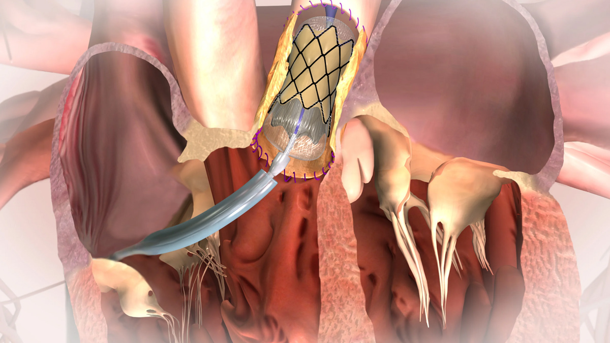 1 - 2025-07-31T182949.127