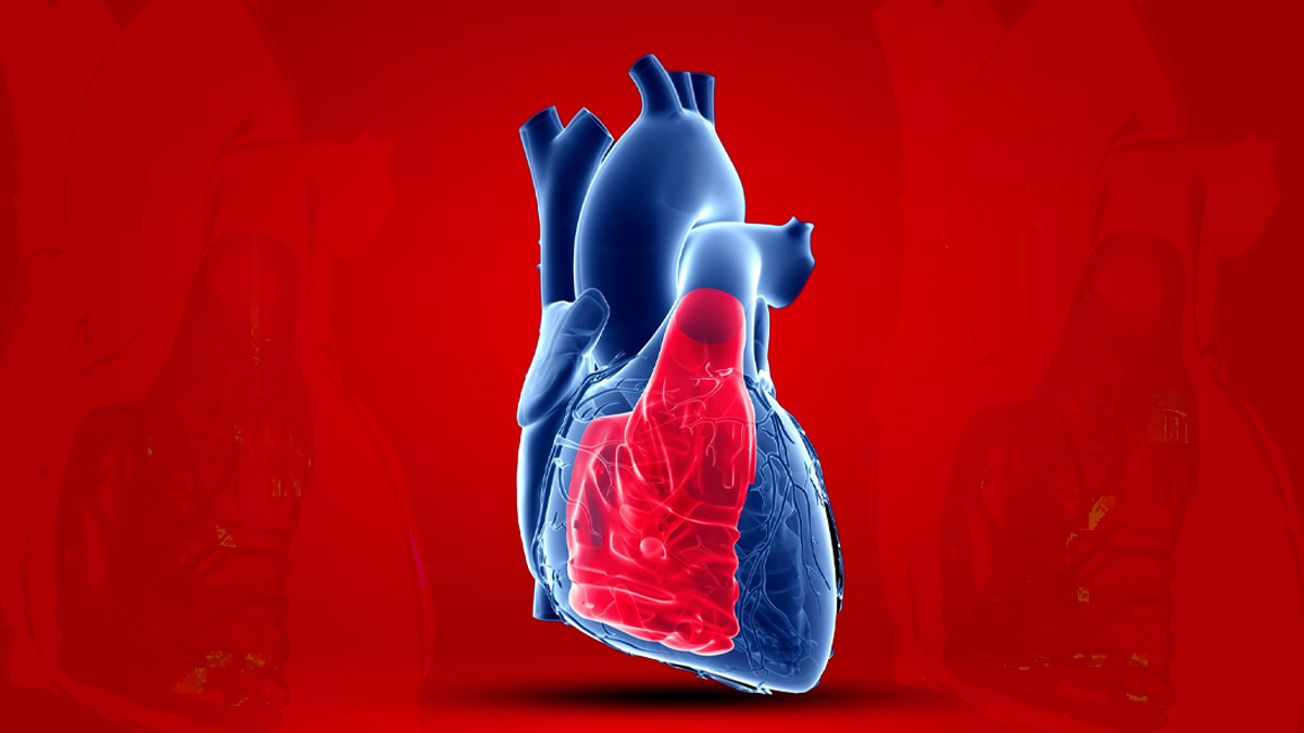 3 - 2025-07-31T182950.657