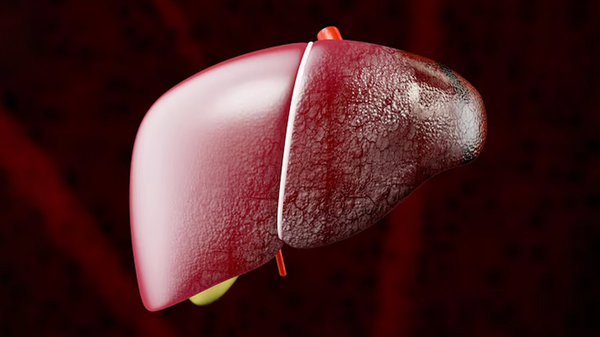 mn - 2025-07-31T225314.856