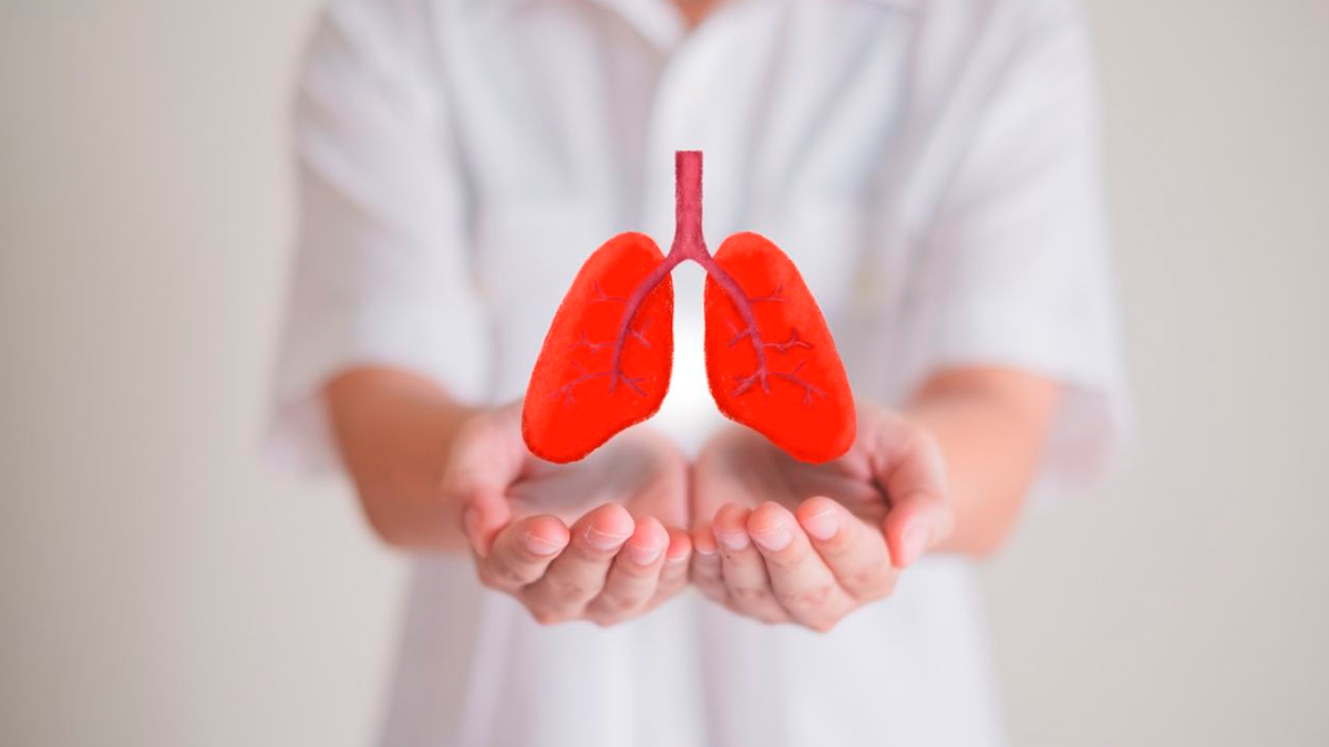 1 - 2025-08-01T165211.075