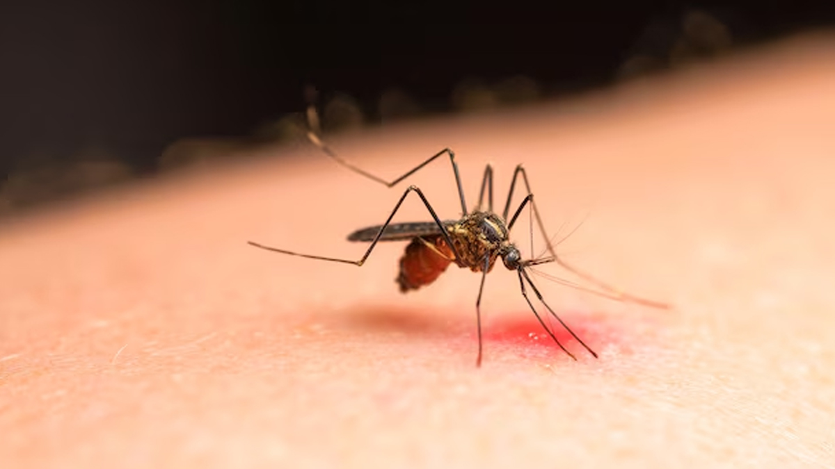 2 - 2025-08-01T020908.187