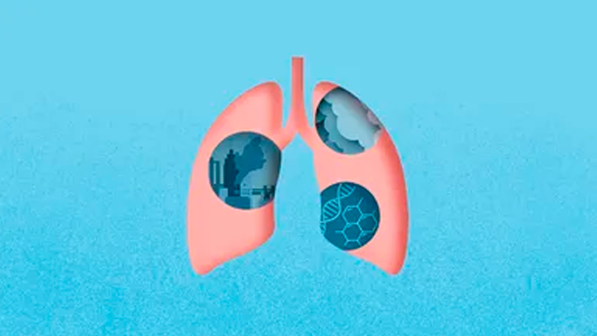 2 - 2025-08-01T165213.379