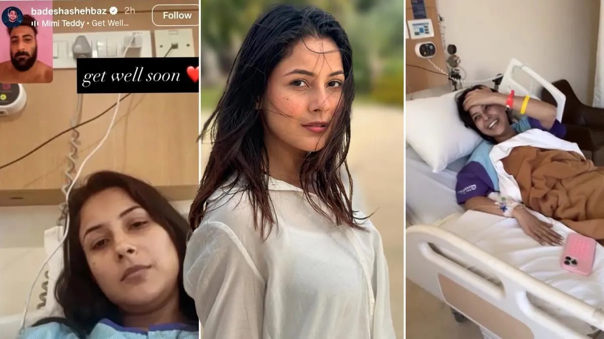 Shehnaaz Gill Hospitalised After Suffering Low Blood Pressure: What Is A Dangerously Low Blood Pressure?