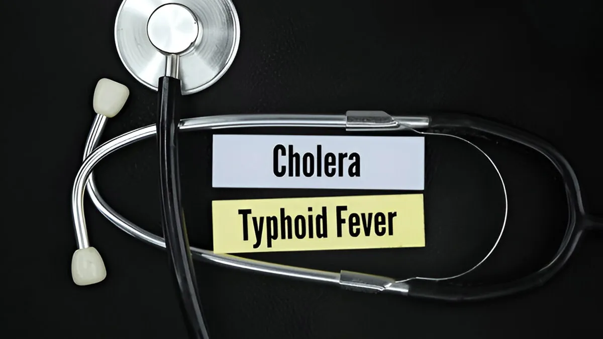 Delhi's Monsoon Health Crisis: Cholera And Typhoid Cases On The Rise