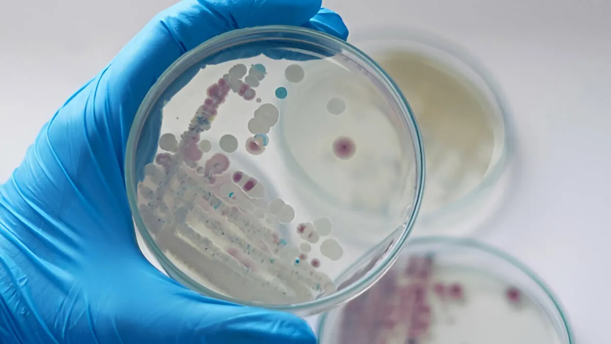 How To Prevent Vibrio Vulnificus - The Flesh-Eating Bacteria Behind Rising Coastal Infections