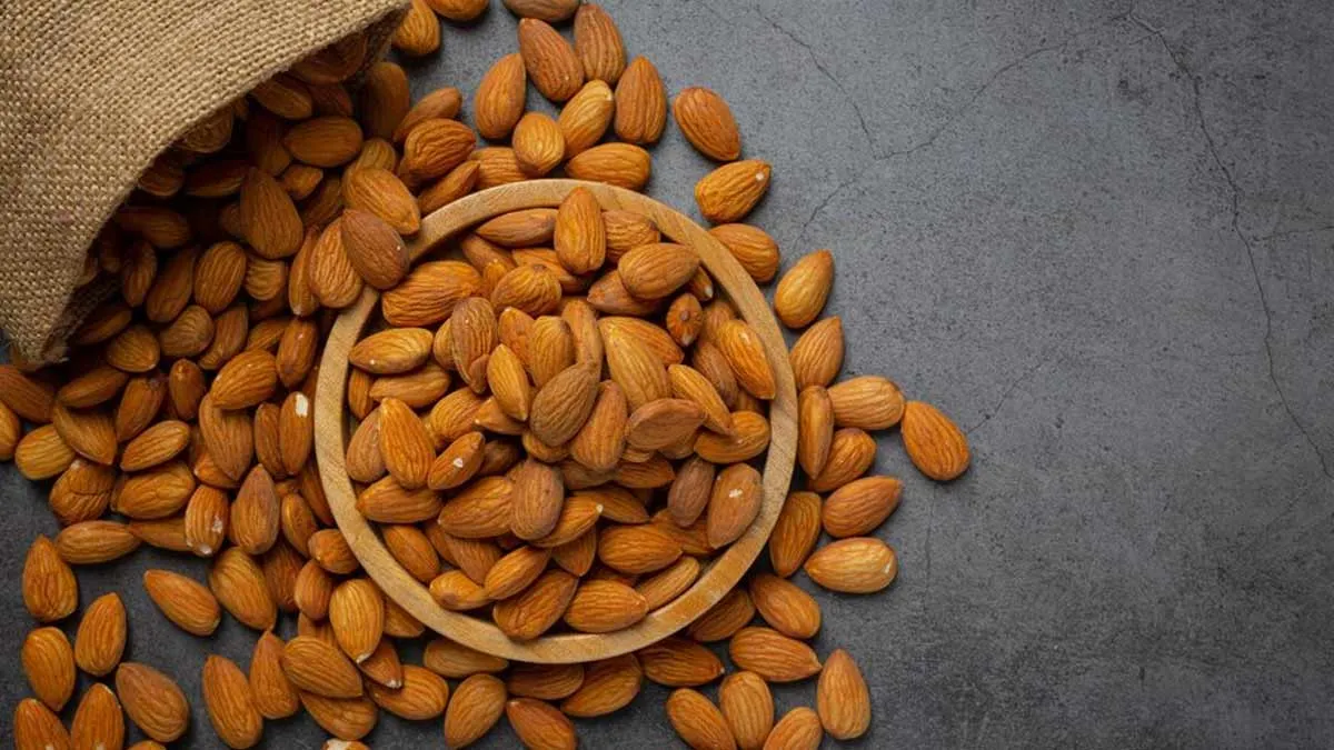 Can Almonds Help With Faster Weight Loss? Find Out Here