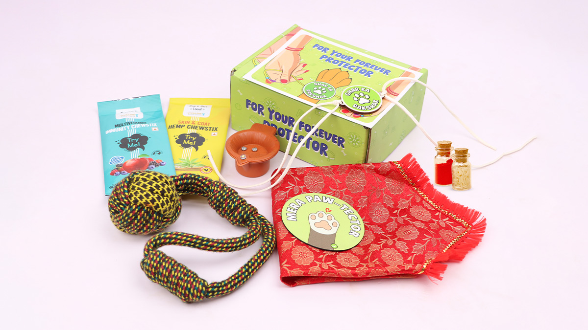 rakhi gifts for pet 1 - 2025-08-08T165035.875