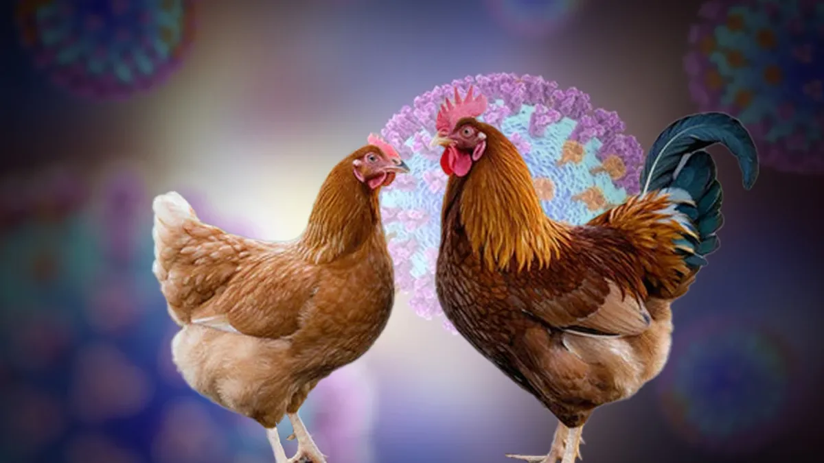 IISc Study Highlights Growing Danger of Bird Flu Virus: Here Is How You Can Stay Protected 

