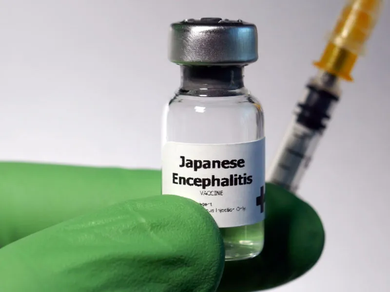 Japanese Encephalitis Vaccination Drive Expanded to 7 More Districts in Tamil Nadu, Here's What You Need To Know To Protect Your Kid's Health