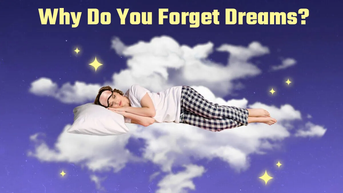 Struggling to Remember Dreams? Researchers Reveals Bedtime Habits That May Help