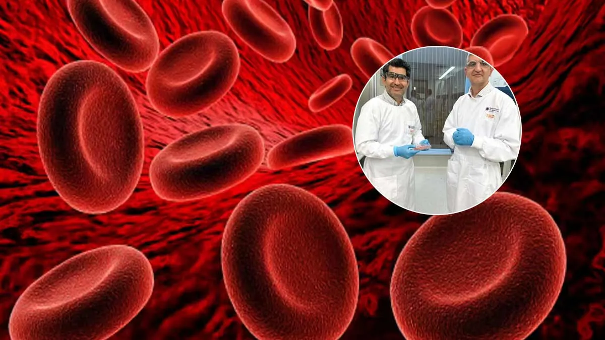 Living Skin with Blood Vessels Grown in Lab for the First Time by Australian Team - Report