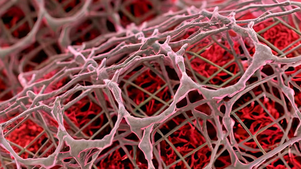 1 - 2025-08-22T165656.480