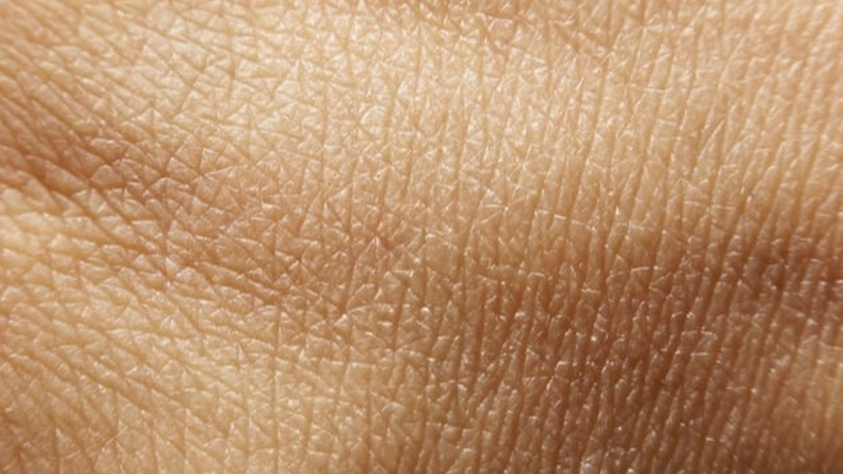 2 - 2025-08-22T165652.150