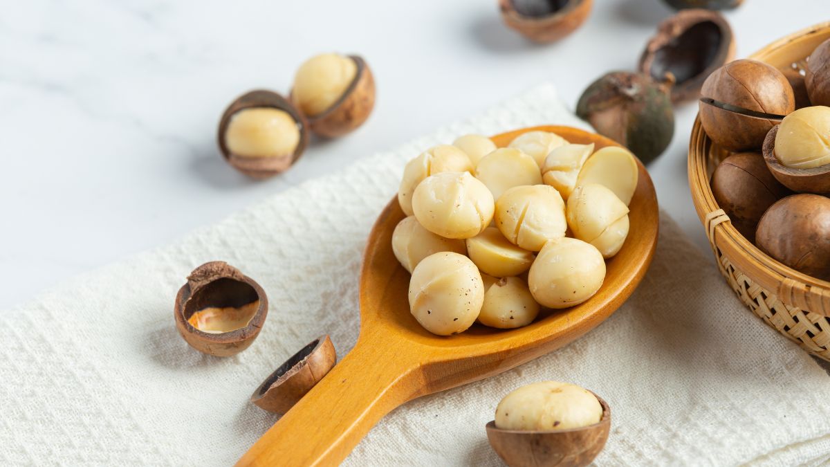 Macadamia Nuts: Health Benefits Of Consuming It
