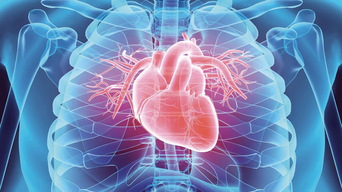 Intermittent Risk of Heart Disease 1 - 2025-08-25T172933.606