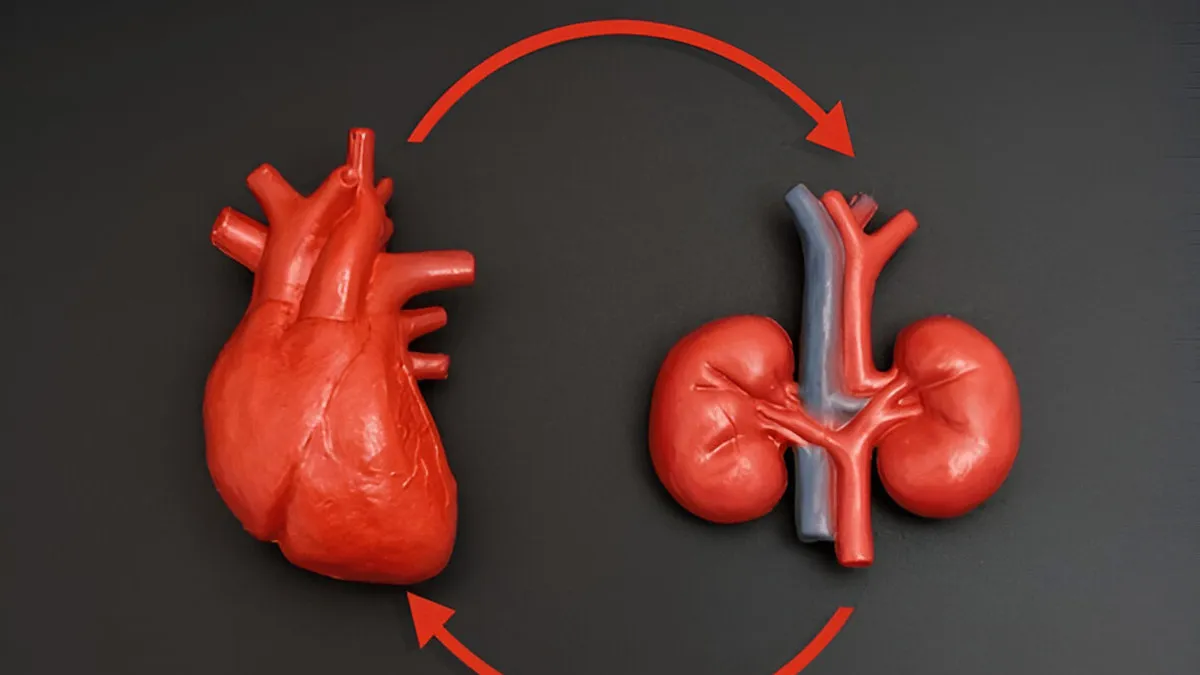 Beyond Gout: How High Uric Acid Affects The Heart And Kidneys