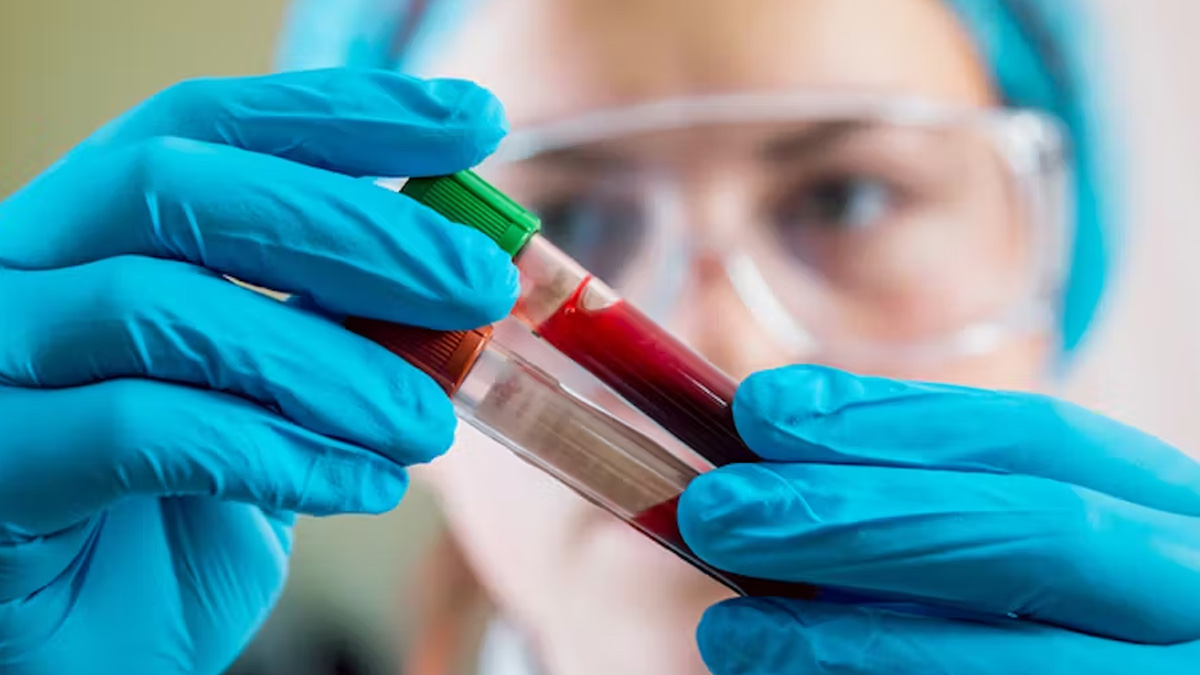 2 - 2025-08-26T103328.589