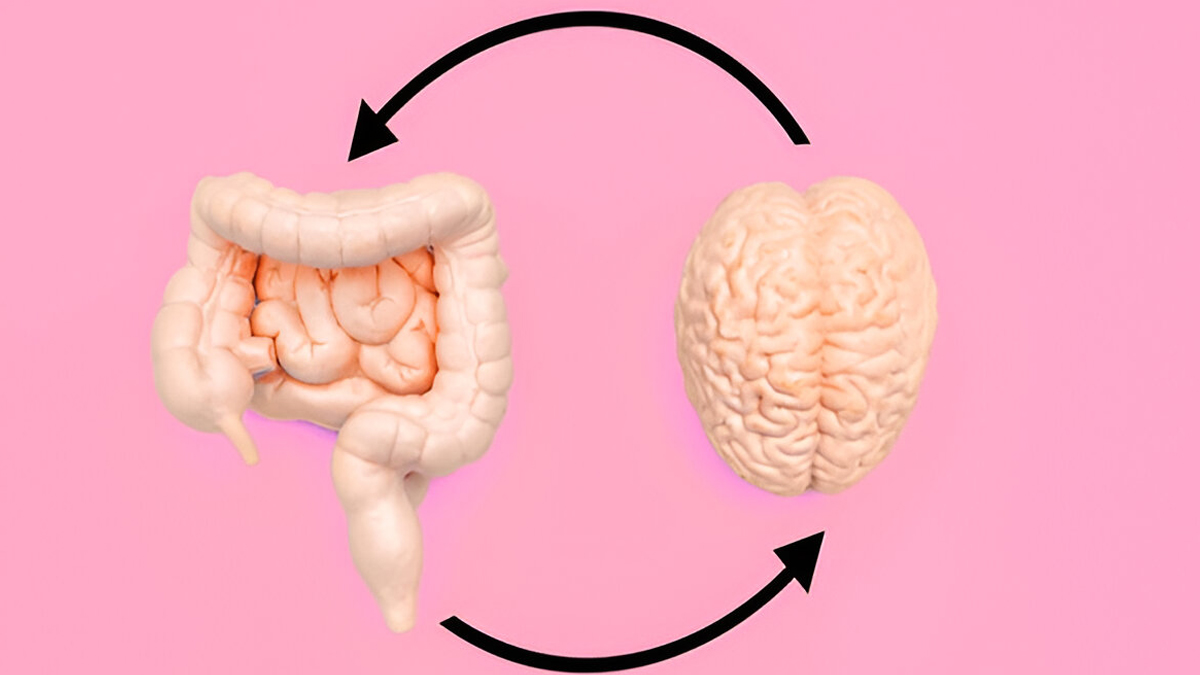 gut-brain-connection