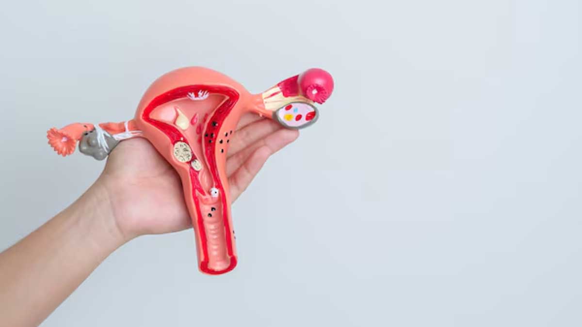 How To Avoid Ectopic Pregnancy With IVF? Expert Shares